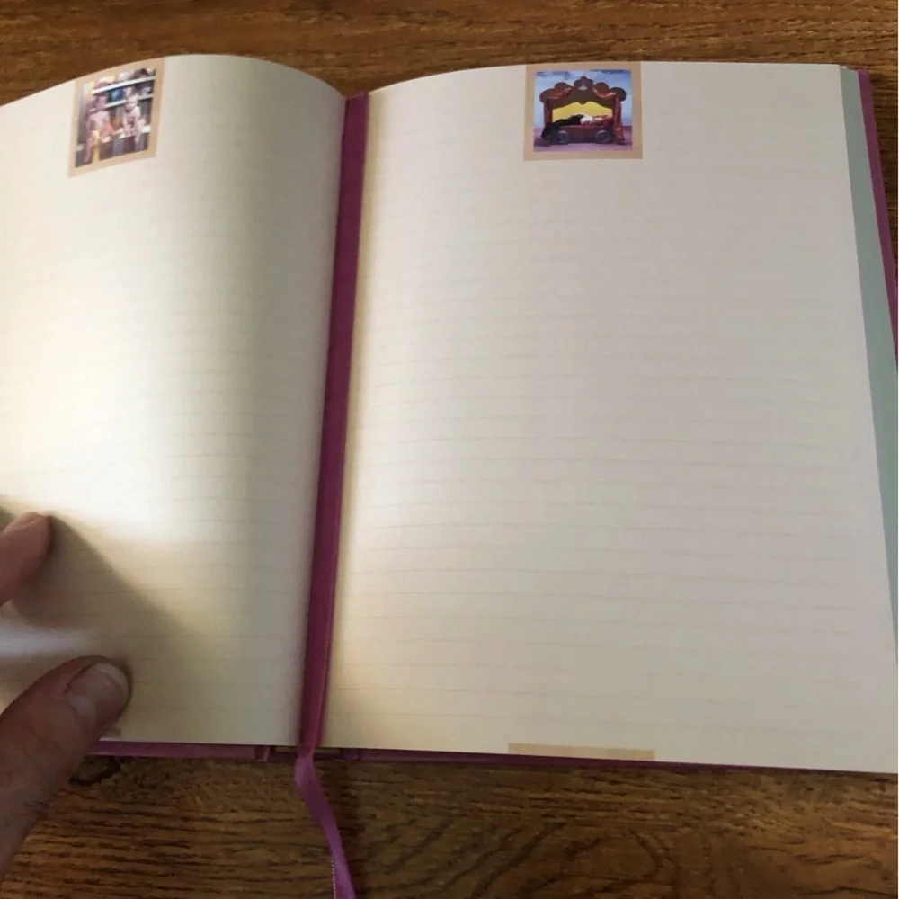Vintage pink Anne baby large journal